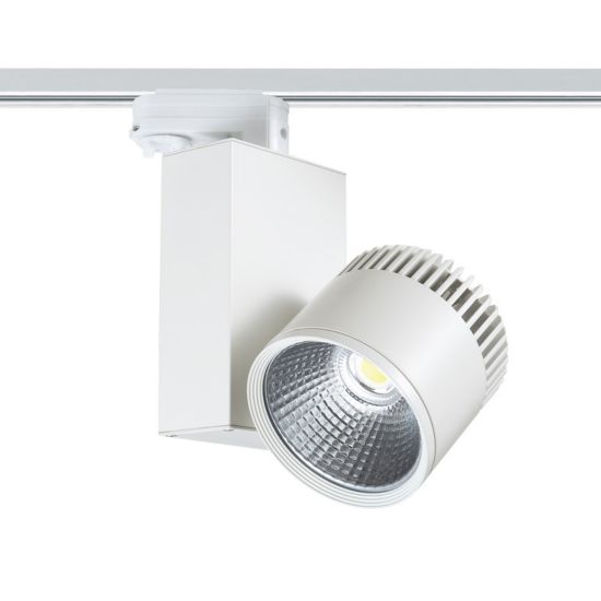 BIENAL4540W4 Ράγες 